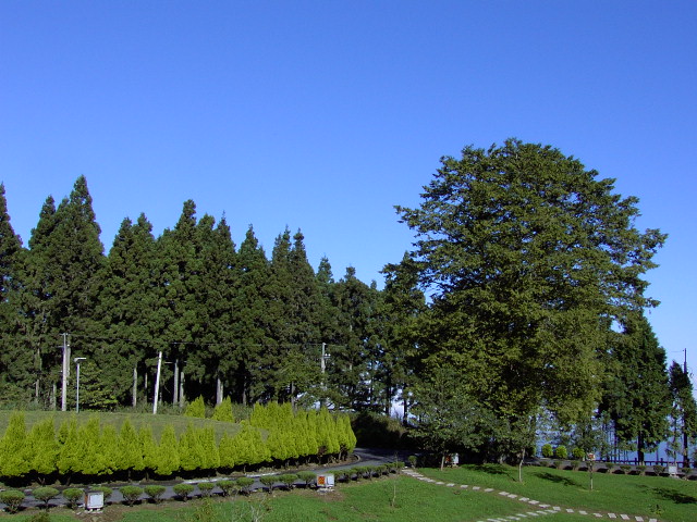 Way to Alishan-- Prelude