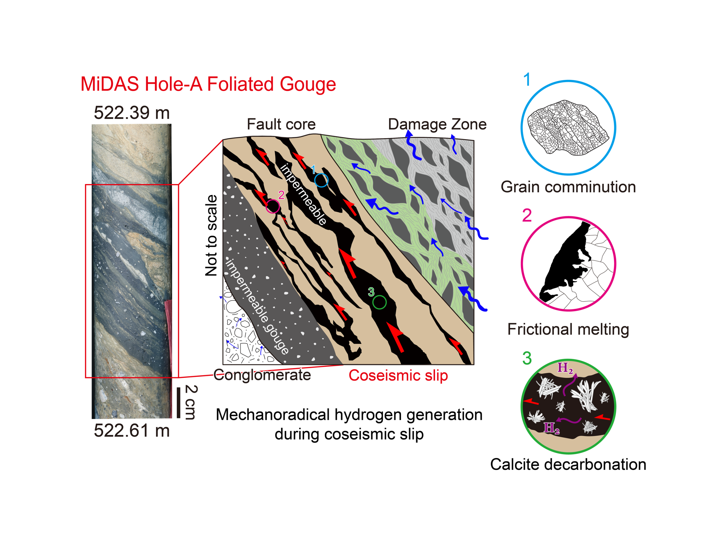 Research results from the team of Dr. Li-Wei Kuo (Joint Appointment Research Fellow, IES) and Dr. Kuo-Fong Ma (Distinguished Research Fellow and Director, IES): Using core samples from the MiDAS Milun Drilling Project, they have provided the world’s first geological evidence of white hydrogen generated by earthquake slip. Image