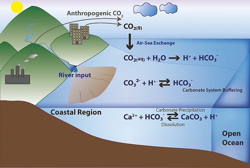 2020-01-30 Research Article of IES postdoc Yi-Wei Liu Published in Science Advances