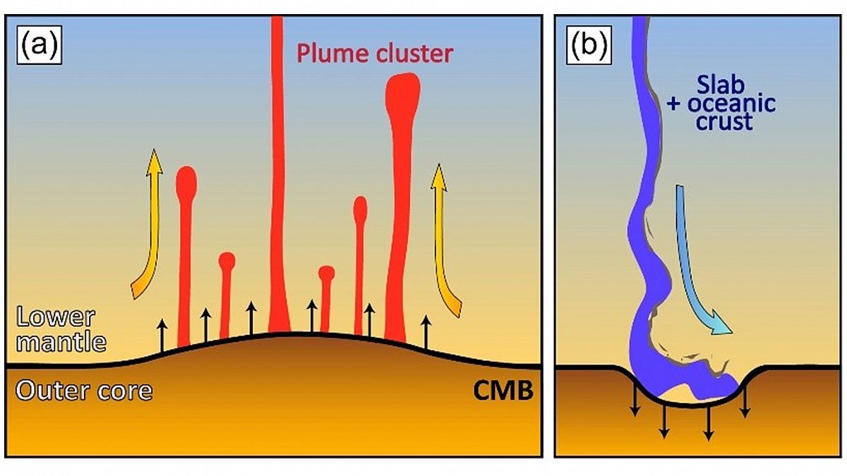 Core-mantle boundary topography and the Earth’s deep mantle structure