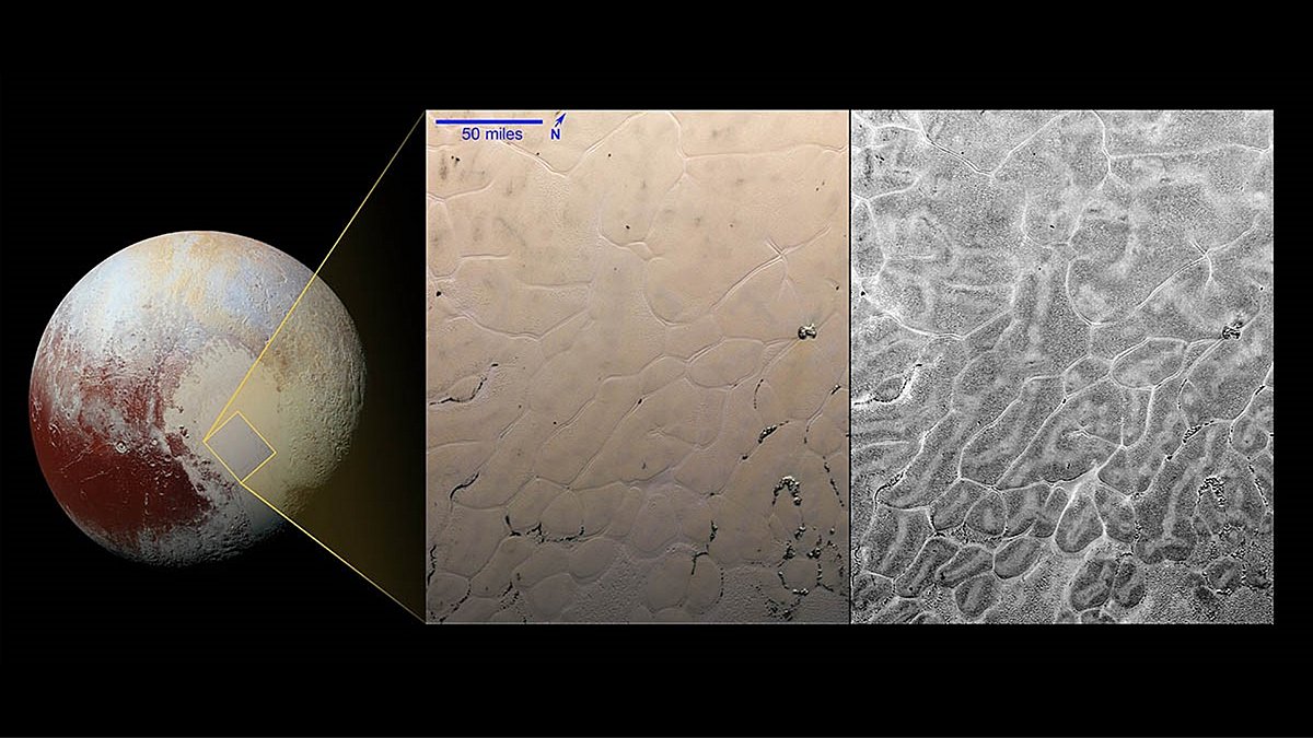 The dynamics of Pluto’s nitrogen ice glacier