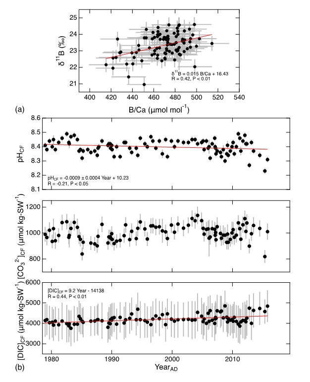 Ocean acidification in the tropical Indian Ocean over the past 37 years: Insights from δ11B and B/Ca records in a Maldives coral